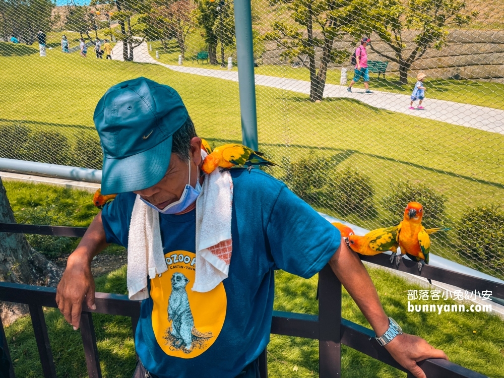 2024【九九峰動物樂園 】南投草屯鳥類主題動物園票價優惠整理