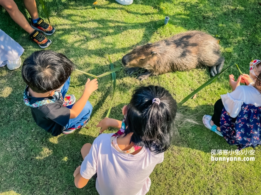 紅磚園邸｜水豚和狐獴陪你吃飯，菜單與預約方式介紹。