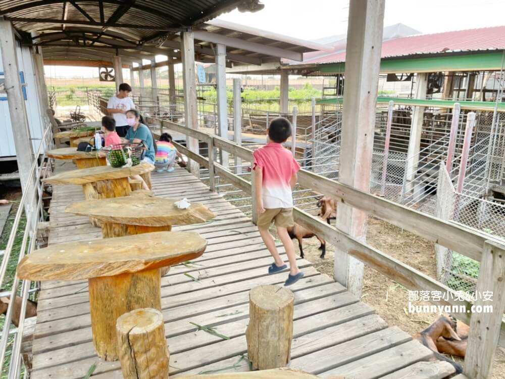 高雄禾光牧場｜免門票羊牧場，自己割牧草餵羊，暢玩親子沙坑