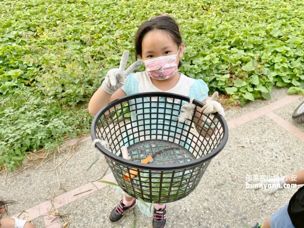 高雄禾光牧場｜免門票羊牧場，自己割牧草餵羊，暢玩親子沙坑