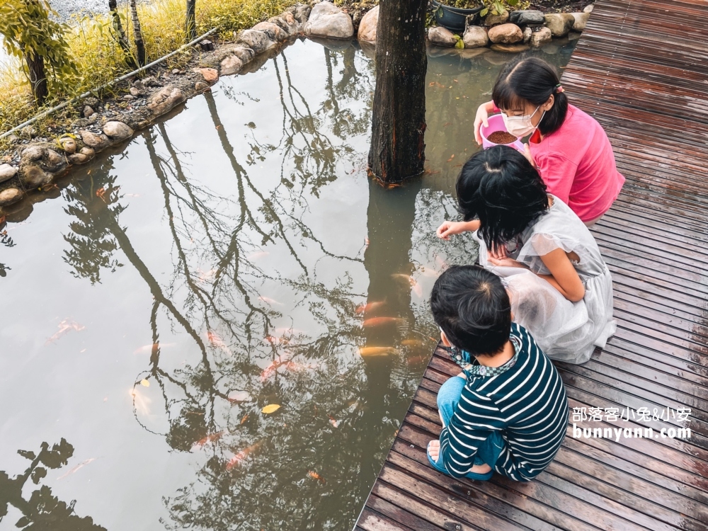 新樹民宿｜宜蘭住一晚地點推薦，彷佛住進森林裡