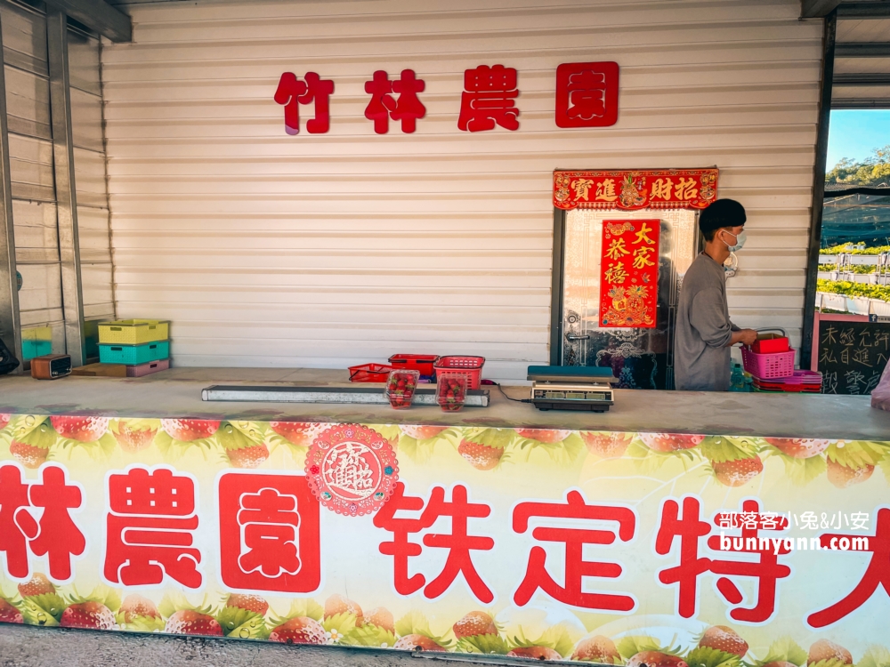 關西竹林草莓園｜竹林農園採大顆草莓，酸甜好滋味