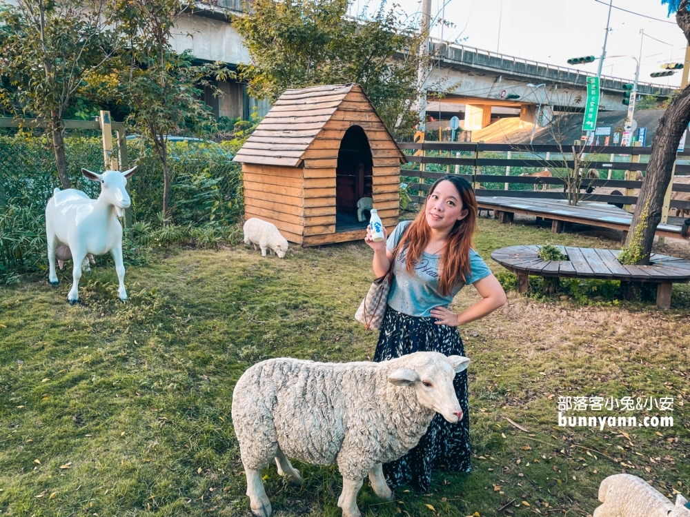 彰化牧場門市【羊舍鮮羊乳】免門票餵羊吃草，羊奶好好喝