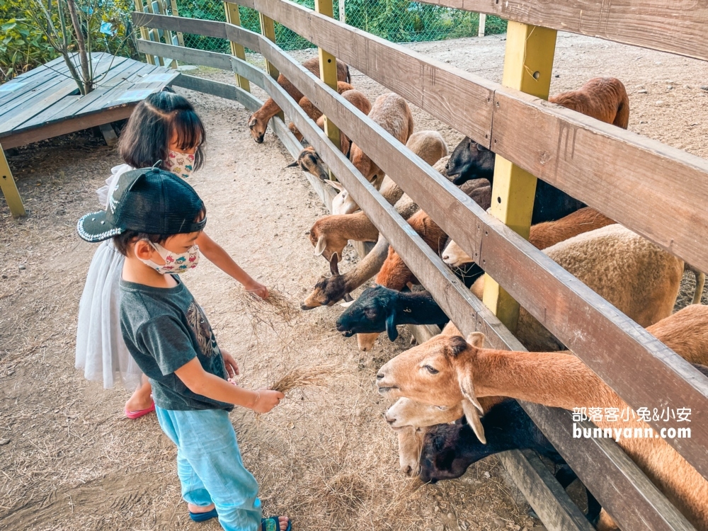 6.羊舍鮮羊乳，彰化免費參觀農場景點