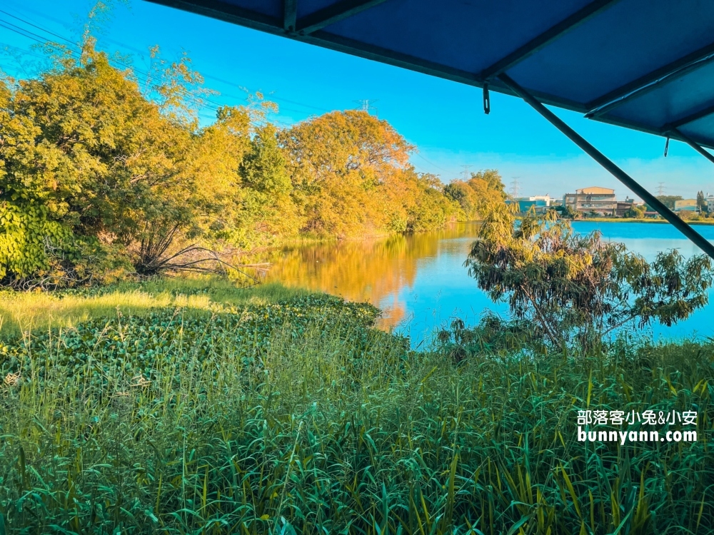 彰化牧場門市【羊舍鮮羊乳】免門票餵羊吃草，羊奶好好喝