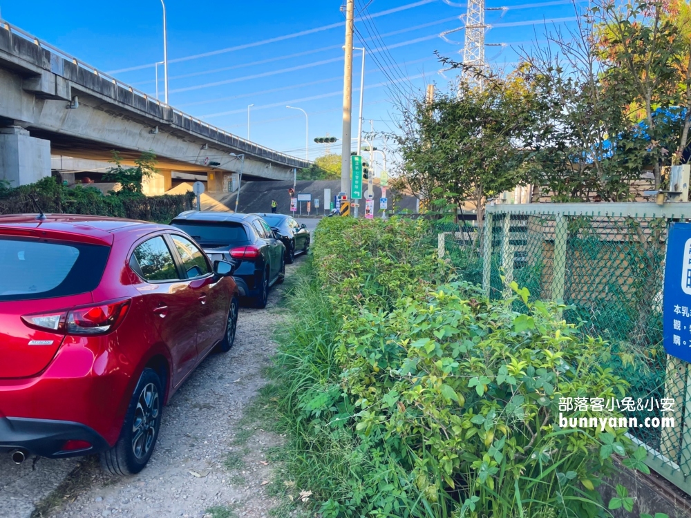 彰化牧場門市【羊舍鮮羊乳】免門票餵羊吃草，羊奶好好喝