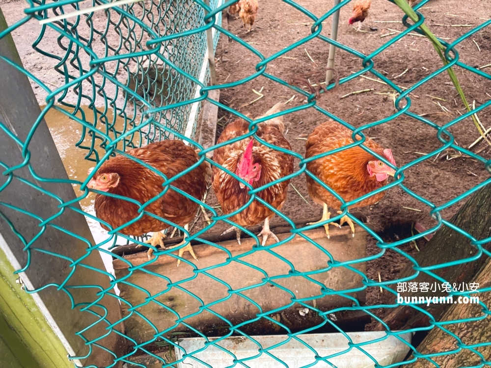 隆泉休閒農場｜暢遊親子戲水池和餵動物，露營區很豪華