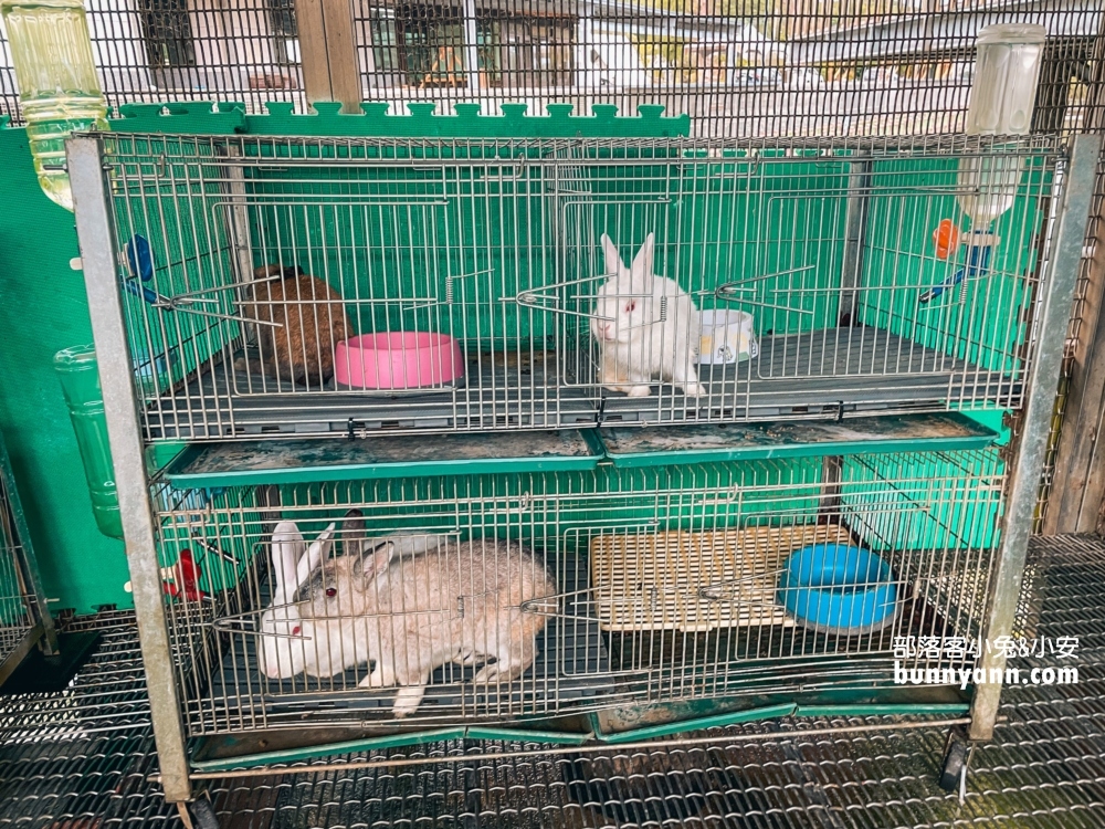 隆泉休閒農場｜暢遊親子戲水池和餵動物，露營區很豪華