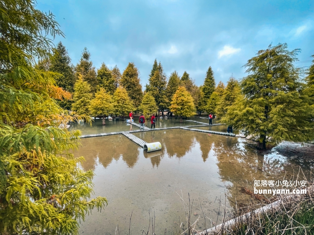 台中泰安落羽松》羽粼落羽松季附近景點一日遊這樣玩