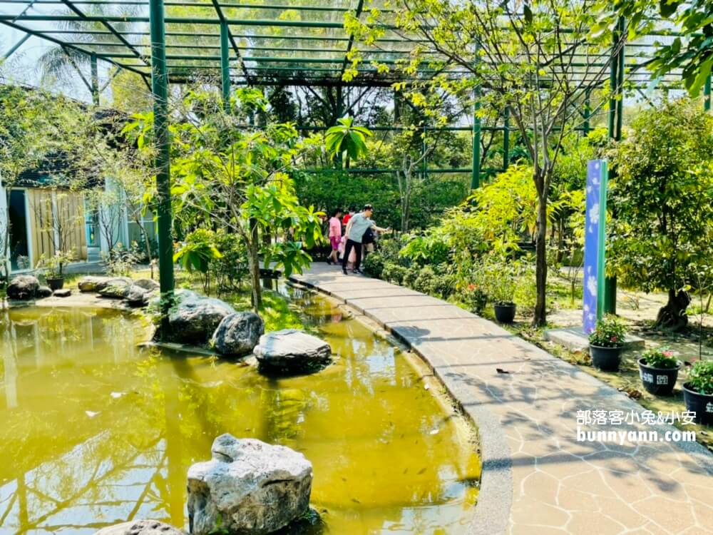 金獅湖蝴蝶園｜高雄免門票賞蝴蝶，美拍空中賞蝶步道，親子遊戲室好好玩