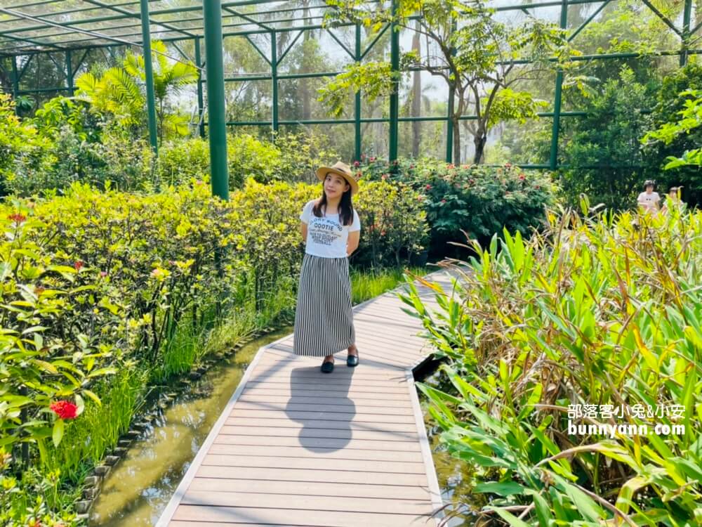 金獅湖蝴蝶園｜高雄免門票賞蝴蝶，美拍空中賞蝶步道，親子遊戲室好好玩