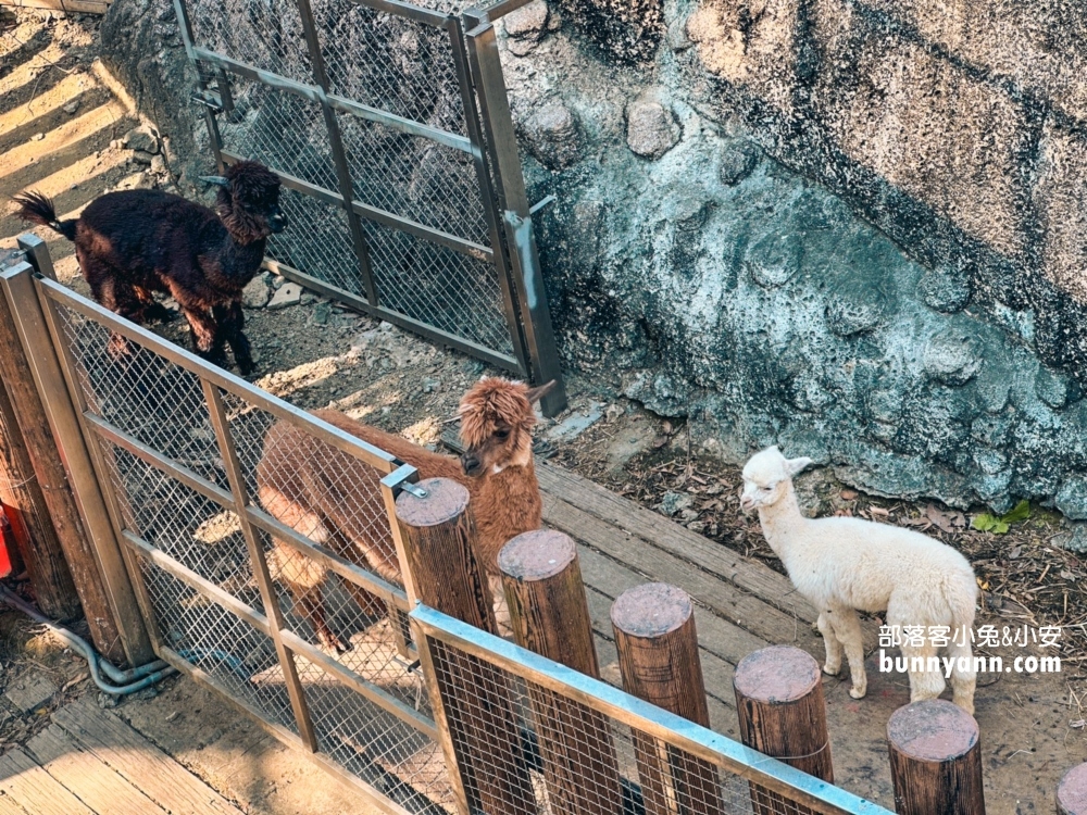 2024高雄【壽山動物園】門票交通和最新票價資訊報你知