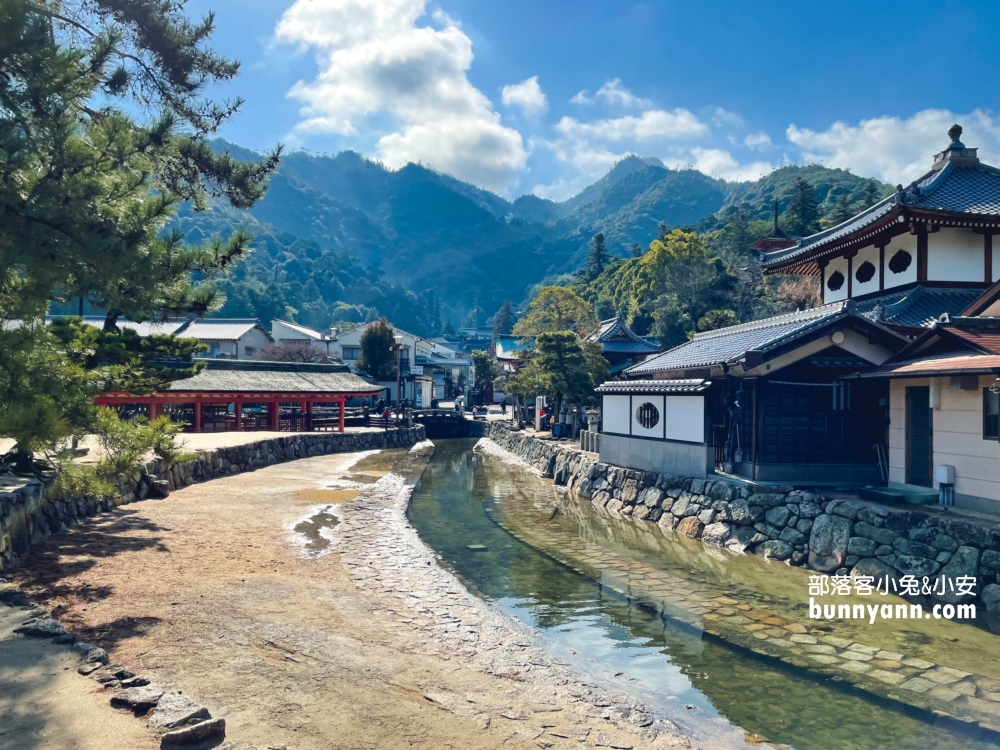 2024日本【嚴島神社】漂浮海上紅色鳥居，島上好多小鹿散步。