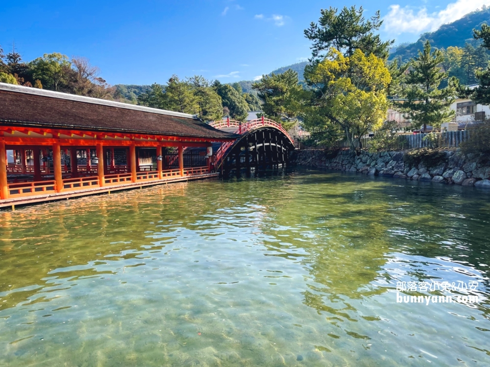 2024日本【嚴島神社】漂浮海上紅色鳥居，島上好多小鹿散步。