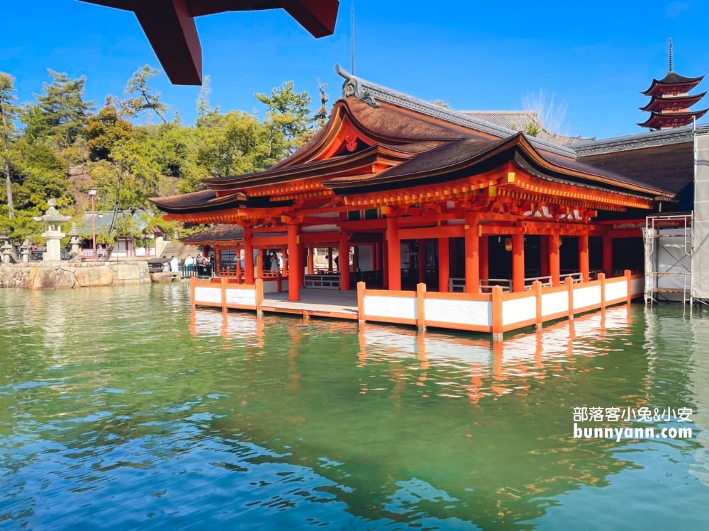 2024日本【嚴島神社】漂浮海上紅色鳥居，島上好多小鹿散步。