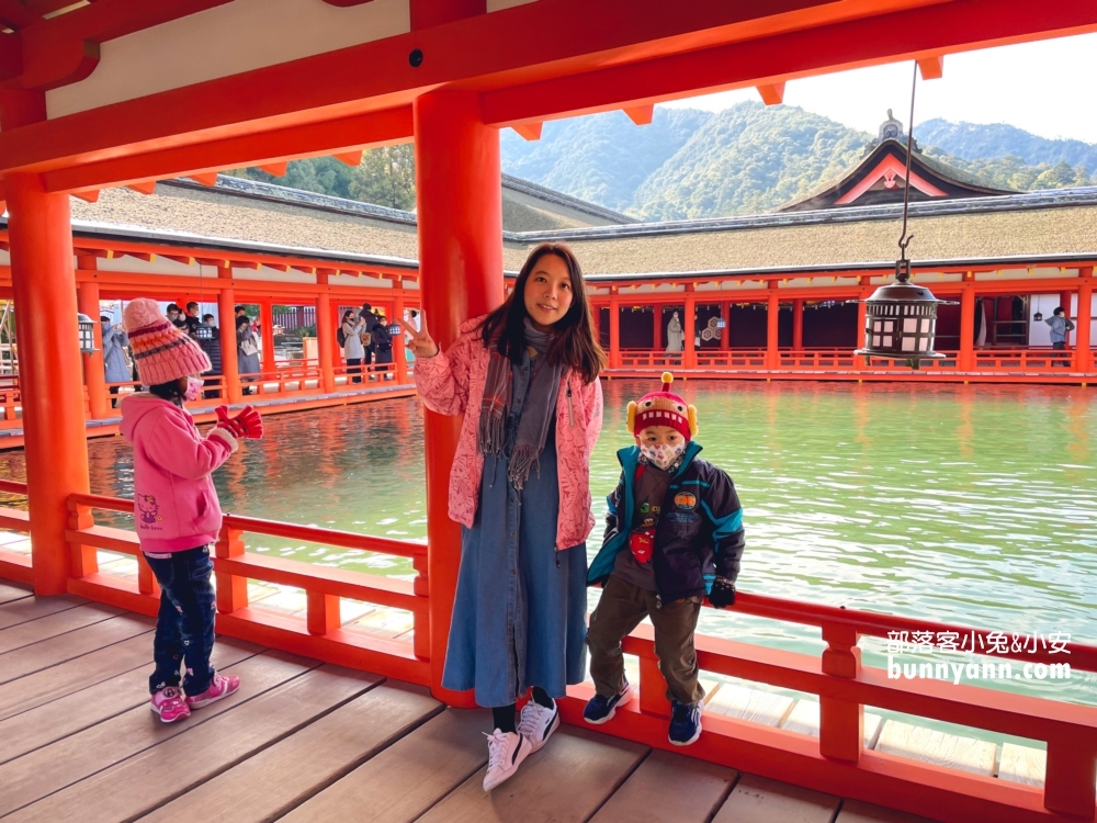 2024日本【嚴島神社】漂浮海上紅色鳥居，島上好多小鹿散步。