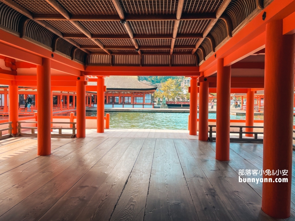 2024日本【嚴島神社】漂浮海上紅色鳥居，島上好多小鹿散步。