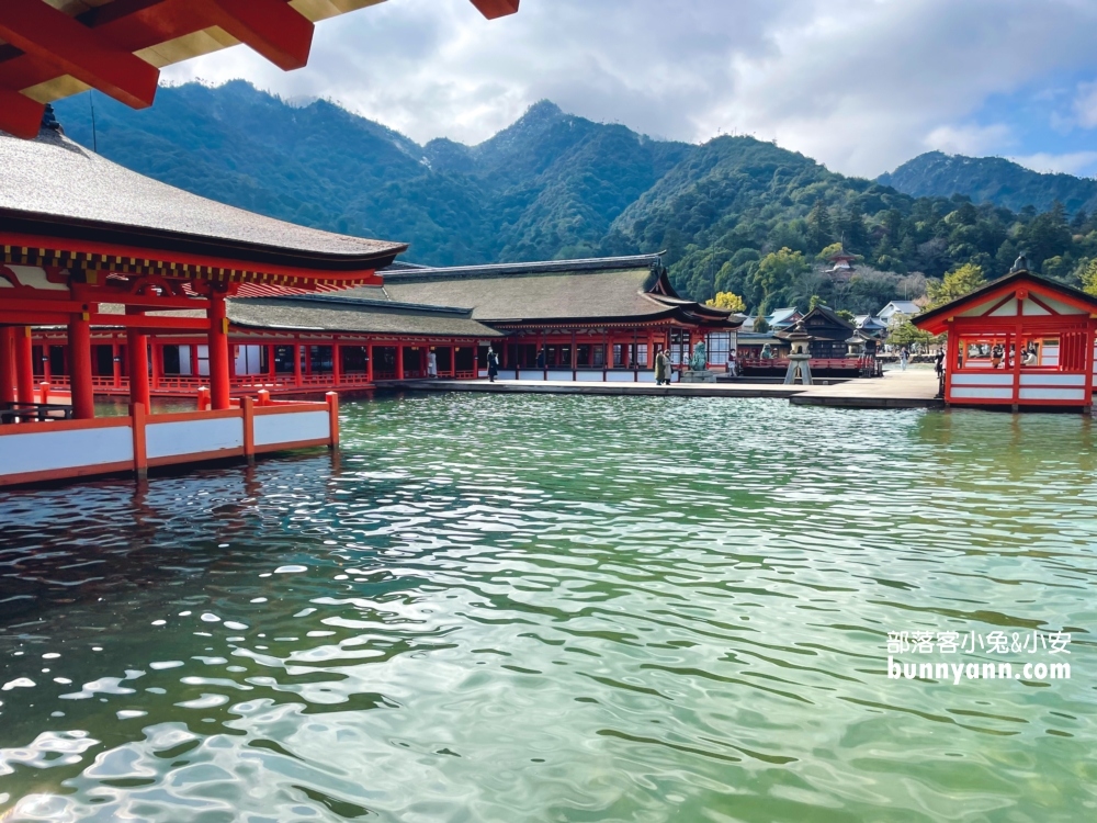 2024日本【嚴島神社】漂浮海上紅色鳥居，島上好多小鹿散步。