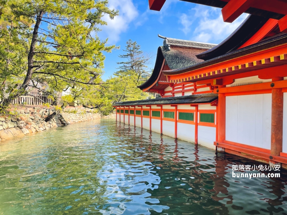 2024日本【嚴島神社】漂浮海上紅色鳥居，島上好多小鹿散步。