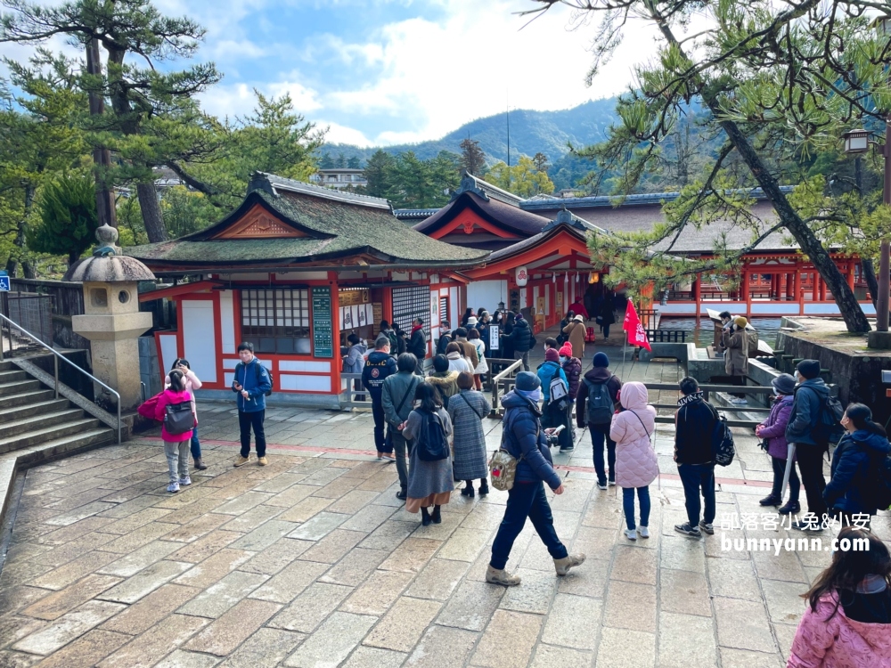 2024日本【嚴島神社】漂浮海上紅色鳥居，島上好多小鹿散步。