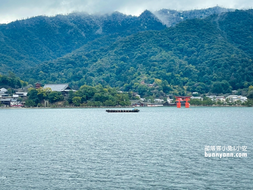 2024日本【嚴島神社】漂浮海上紅色鳥居，島上好多小鹿散步。