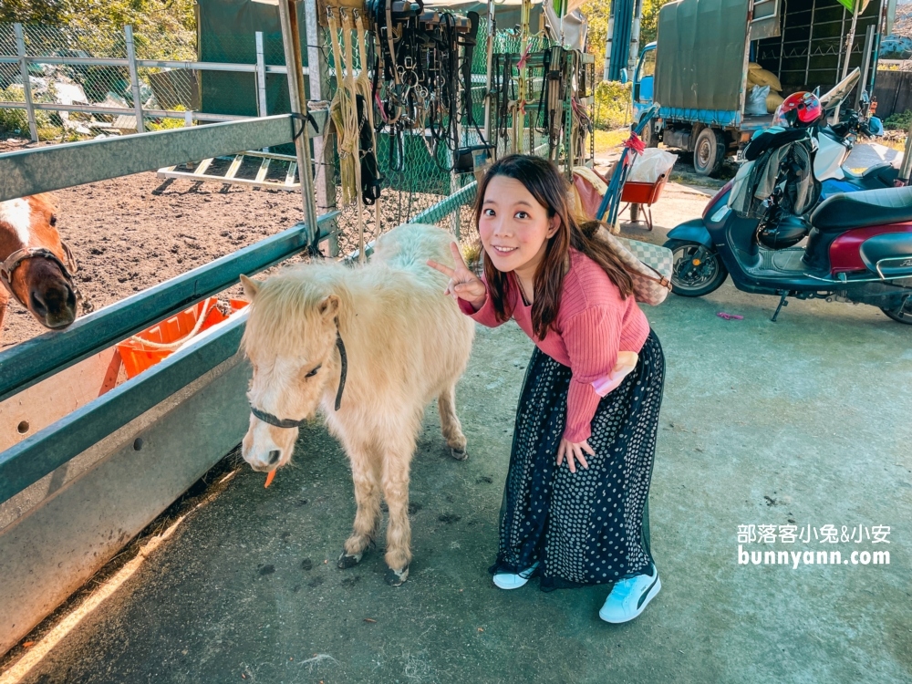 【宜騎緣沙灘馬場】免門票親近馬兒，可以騎馬兜風好地方