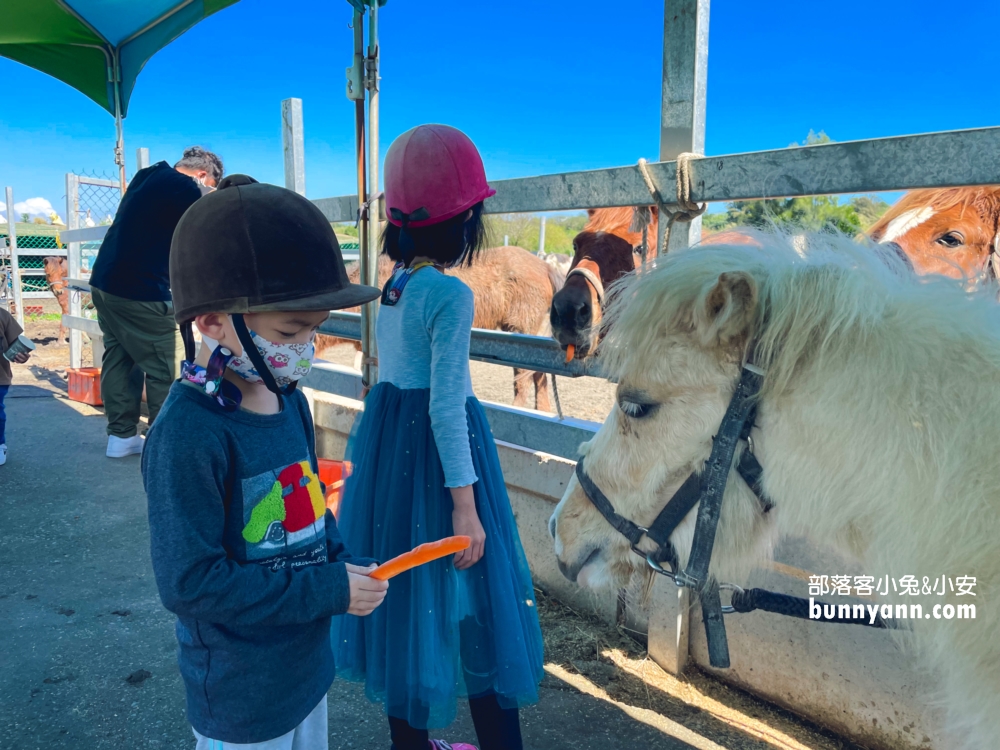 【宜騎緣沙灘馬場】免門票親近馬兒，可以騎馬兜風好地方