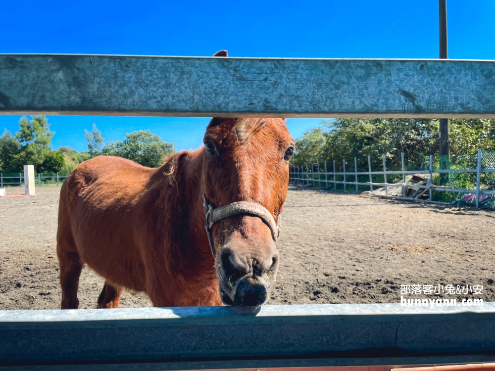 【宜騎緣沙灘馬場】免門票親近馬兒，可以騎馬兜風好地方