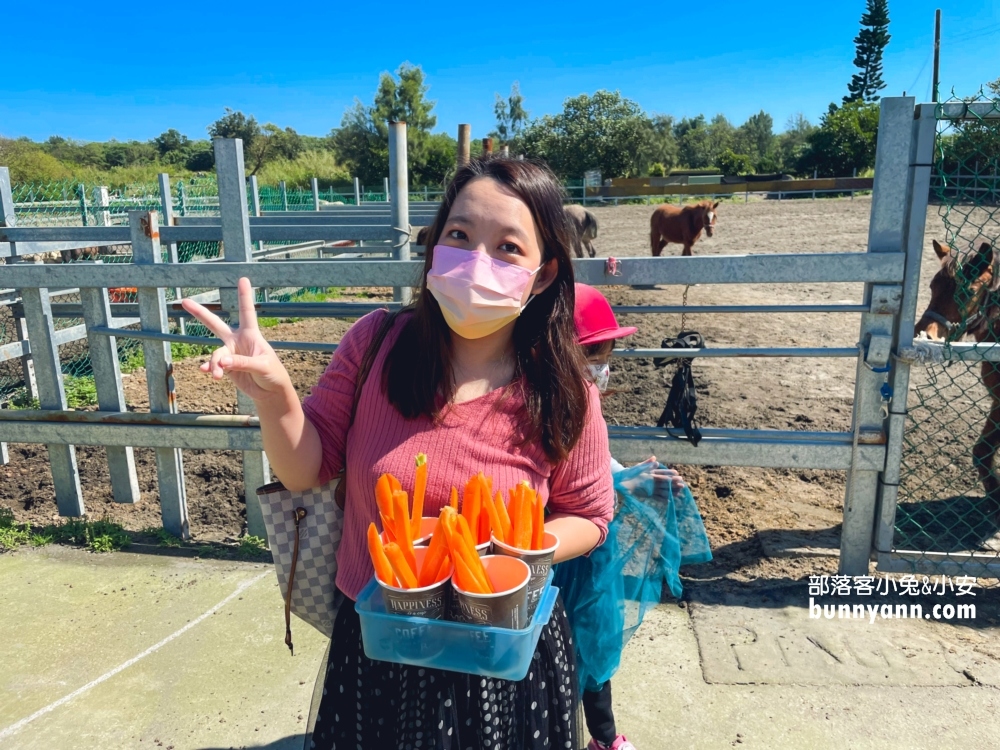 【宜騎緣沙灘馬場】免門票親近馬兒，可以騎馬兜風好地方