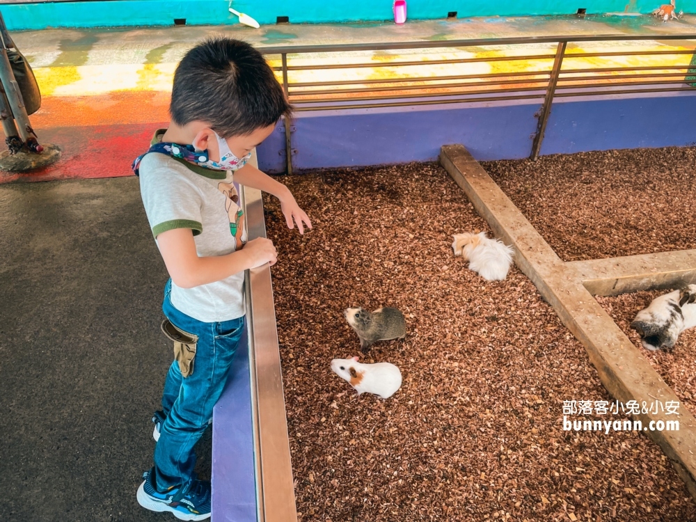 宜蘭【水鹿咖啡親子館】是咖啡店也是小型動物農場