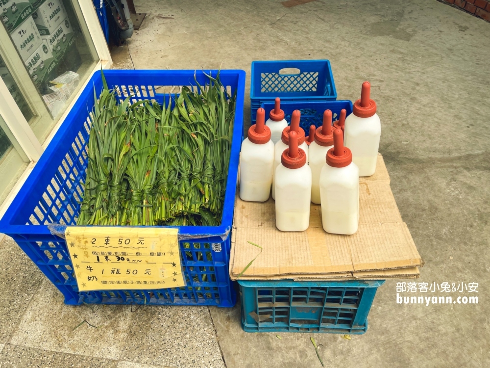 【大山牧場】來餵牛牛吃草，好吃鮮奶麻糬必買一盒!!