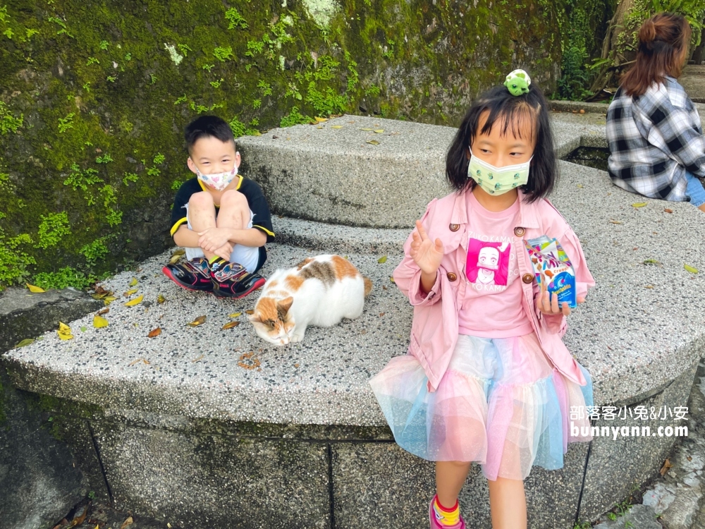 瑞芳【猴硐貓村】侯硐景點一日遊這樣玩不繞路!!