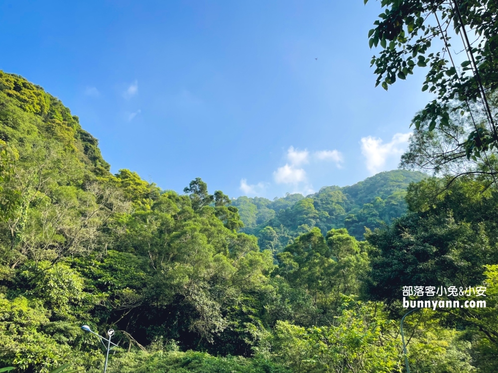 新店【二叭子植物園】來回不用一小時的輕鬆走步道!!