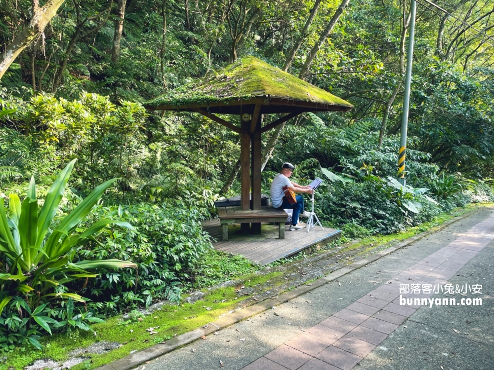 新店【二叭子植物園】來回不用一小時的輕鬆走步道!!