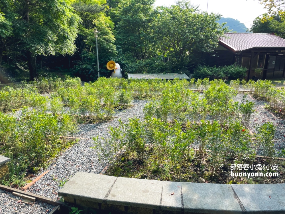 新店【二叭子植物園】來回不用一小時的輕鬆走步道!!