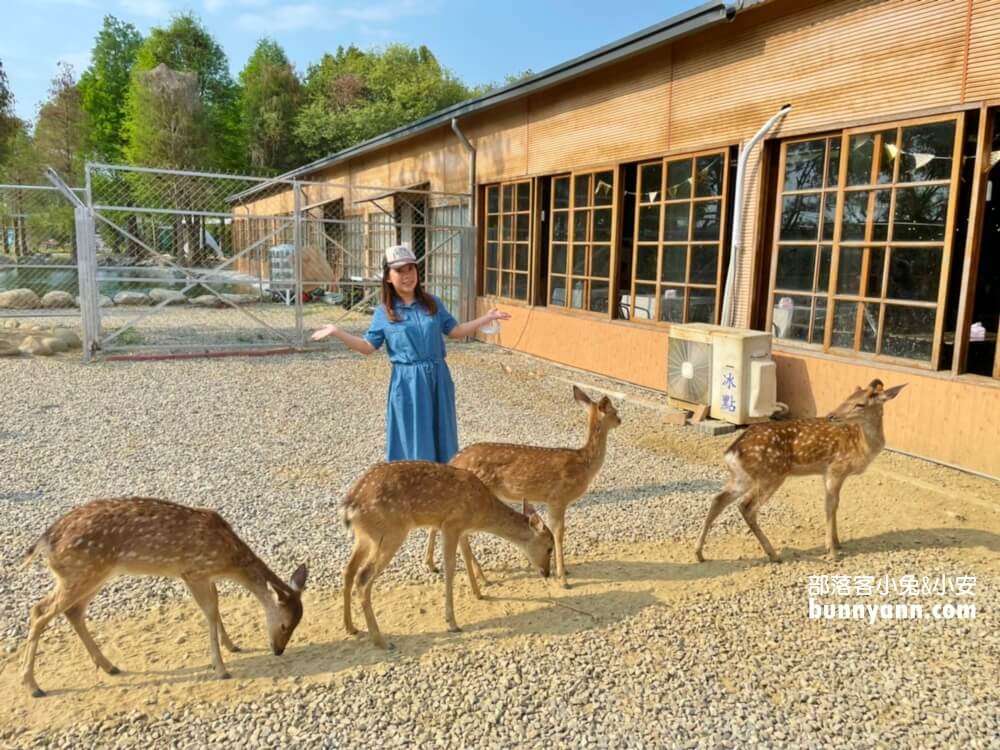 超好玩【鹿營親子農場】滑草、玩水、餵小鹿農場戶外放風半日遊