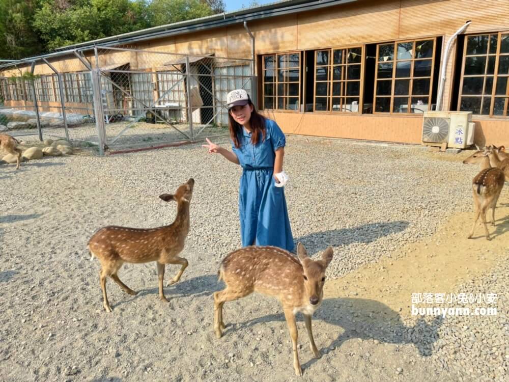 超好玩【鹿營親子農場】滑草、玩水、餵小鹿農場戶外放風半日遊