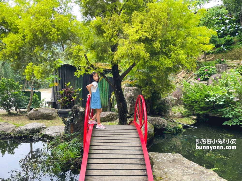 【杉林松境休閒農場】躲在南庄山區的美麗花園(門票介紹)