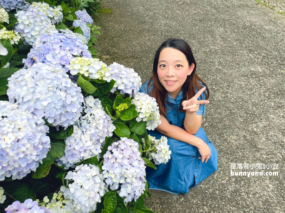 【杉林松境休閒農場】躲在南庄山區的美麗花園(門票介紹)