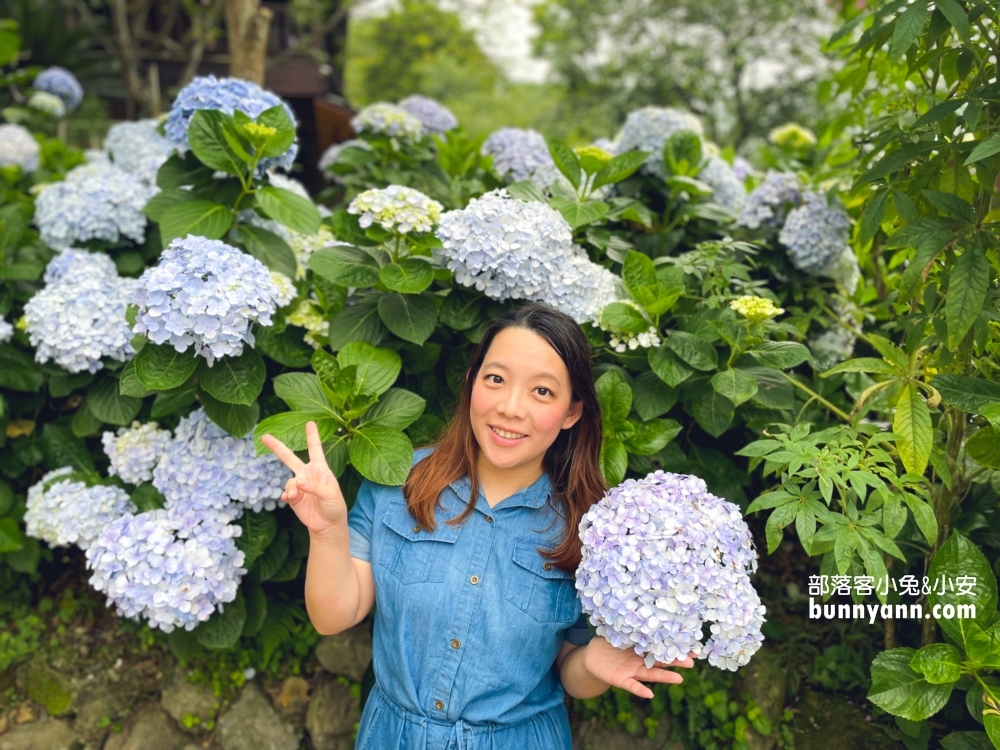 【杉林松境休閒農場】躲在南庄山區的美麗花園(門票介紹)