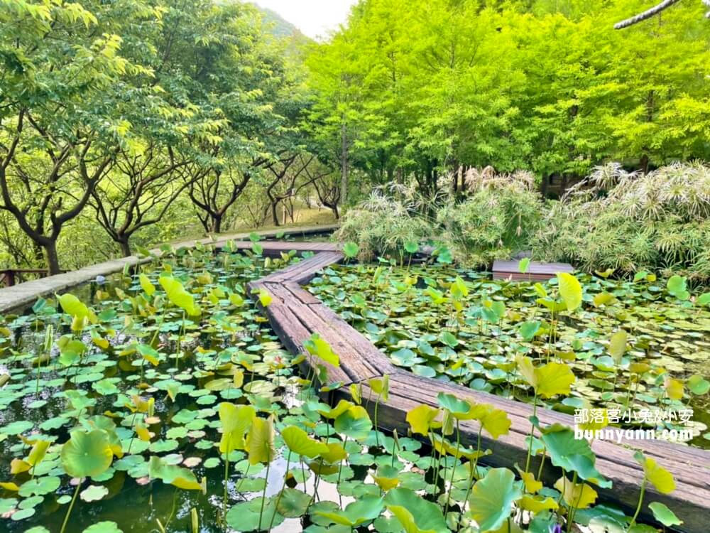 台北【真愛桃花源庭園餐廳】唯美歌德式教堂，烏克蘭愛情隧道(門票)