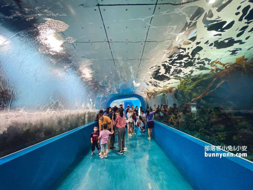 Xpark水族館海底隧道