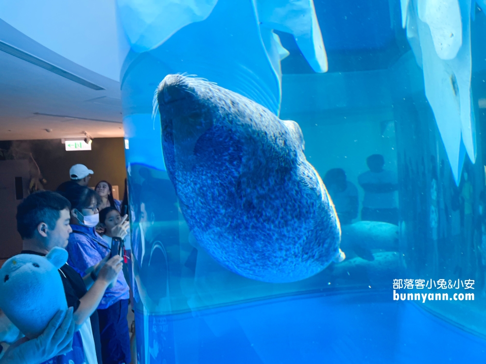 Xpark水族館海底隧道