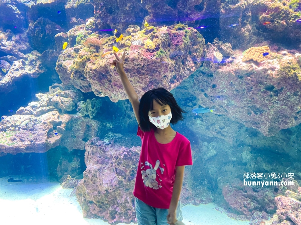 Xpark水族館珊瑚潛行區
