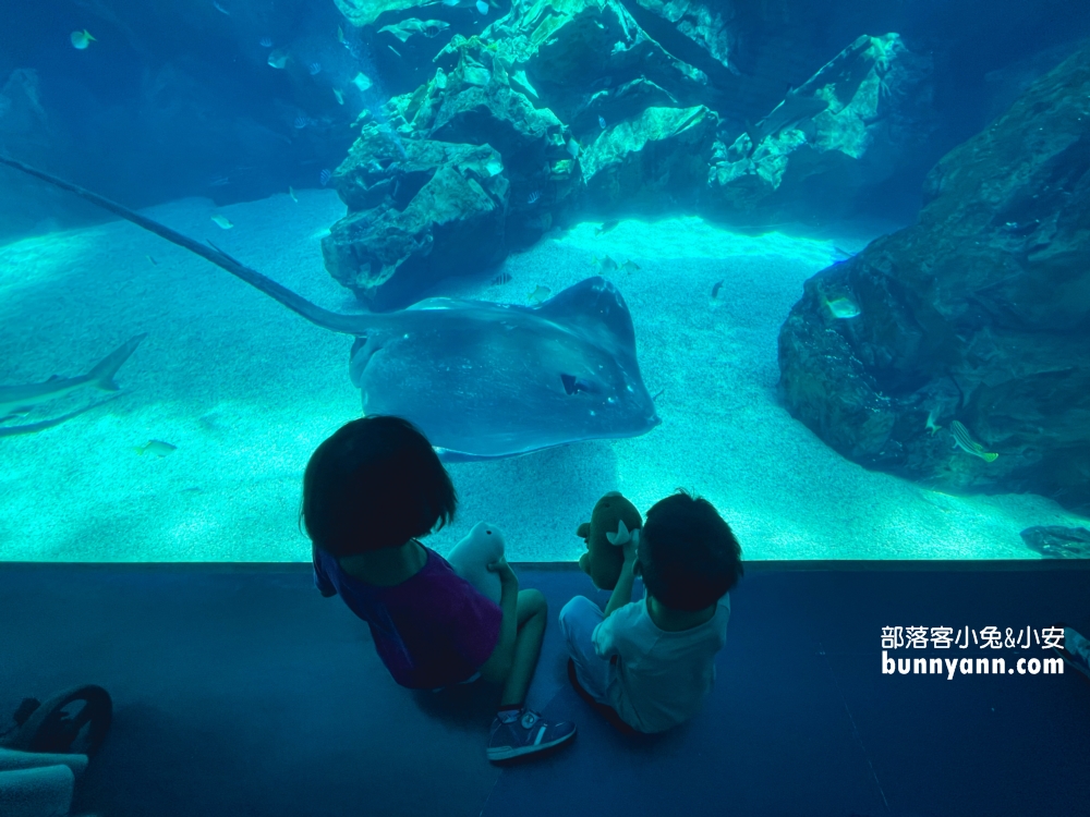 Xpark水族館福爾摩沙區