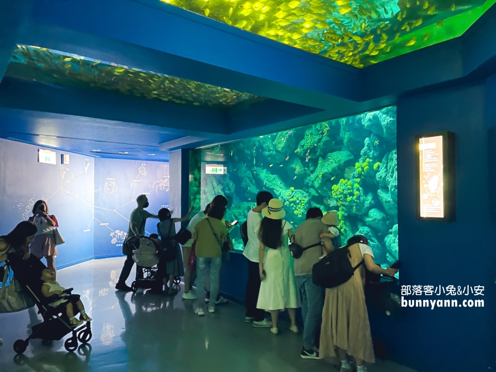 桃園2024【Xpark】水族館超美水生公園門票優惠和詳細攻略。