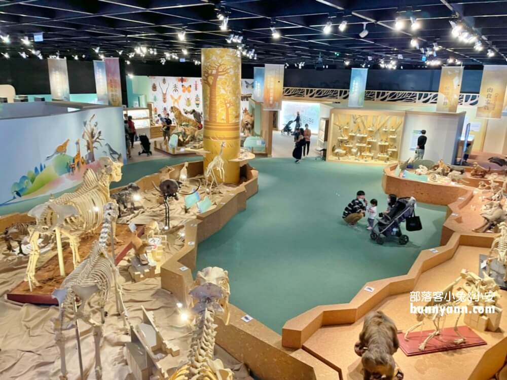 台中科博館》國立自然科學博物館，秒飛侏儸紀公園(門票資訊)
