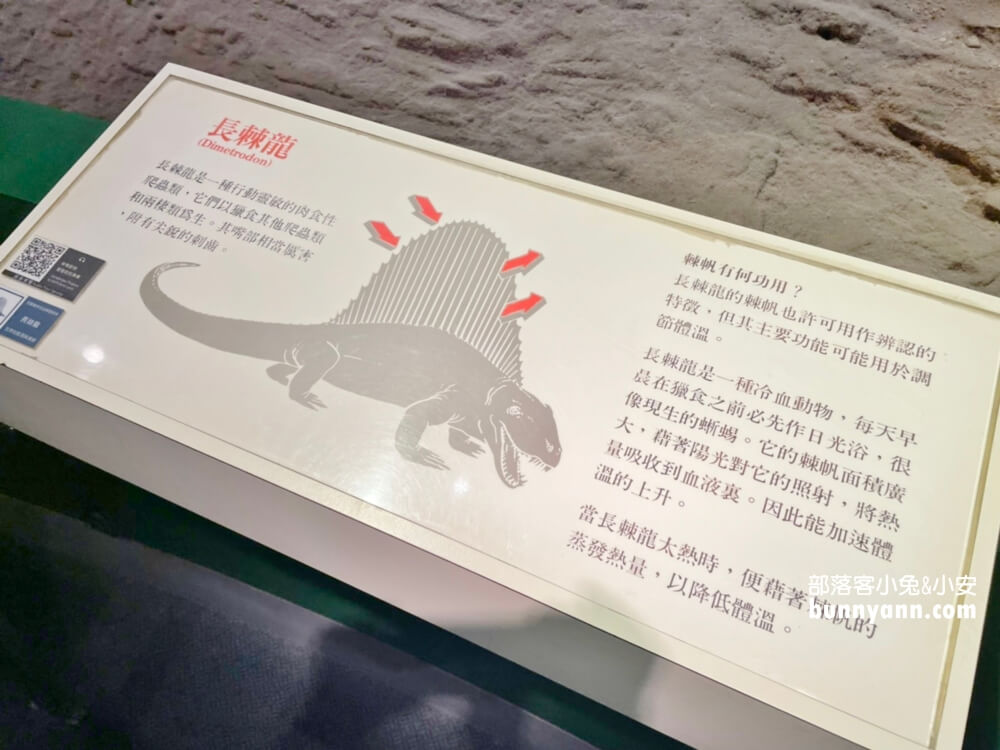 國立自然科學博物館【台中科博館】最新玩法、展覽區域介紹全攻略