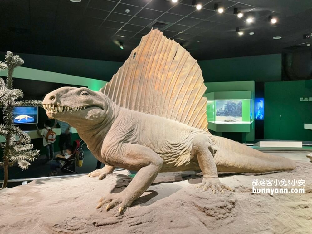 台中科博館》國立自然科學博物館，秒飛侏儸紀公園(門票資訊)