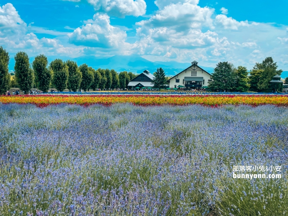 北海道富田農場